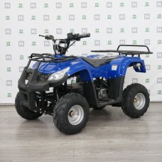 Электро ATV Hornet 1000